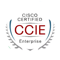 <a href="https://www.chinesedumps.com/encor-350-401-dumps.htm">350-401 - CCIE Enterprise Infrastructure </a>